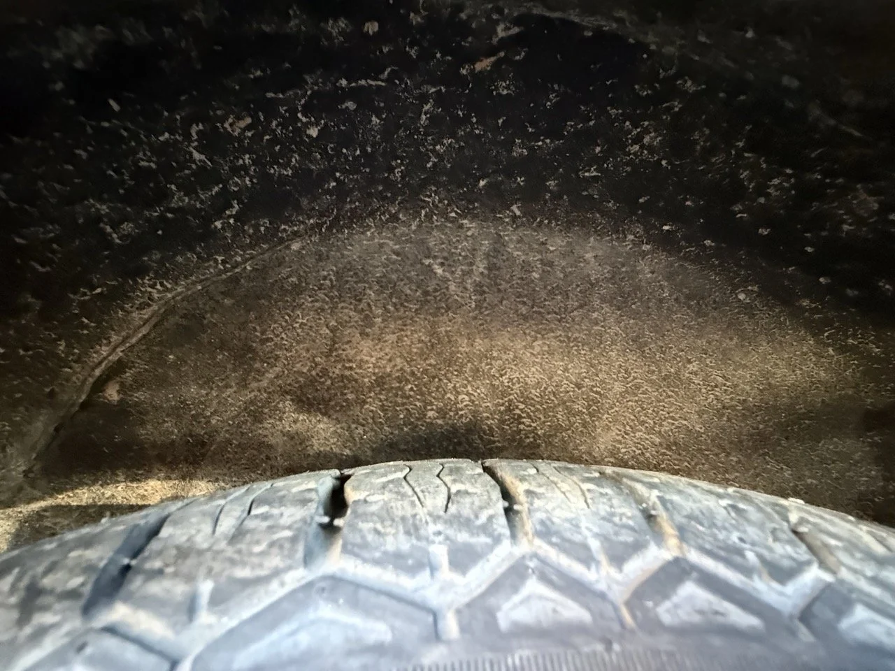 IMG_1248 – grande.jpeg