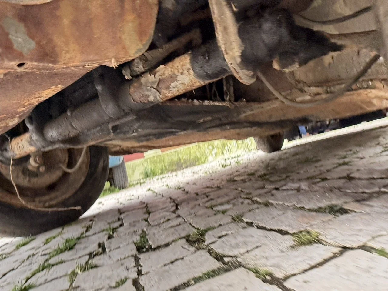 IMG_1234 – grande.jpeg