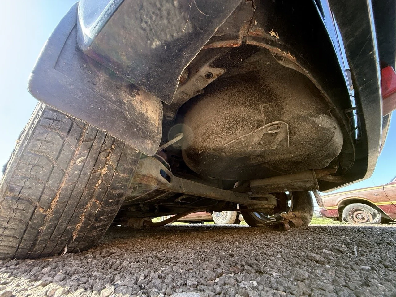 IMG_2953 – grande.jpeg