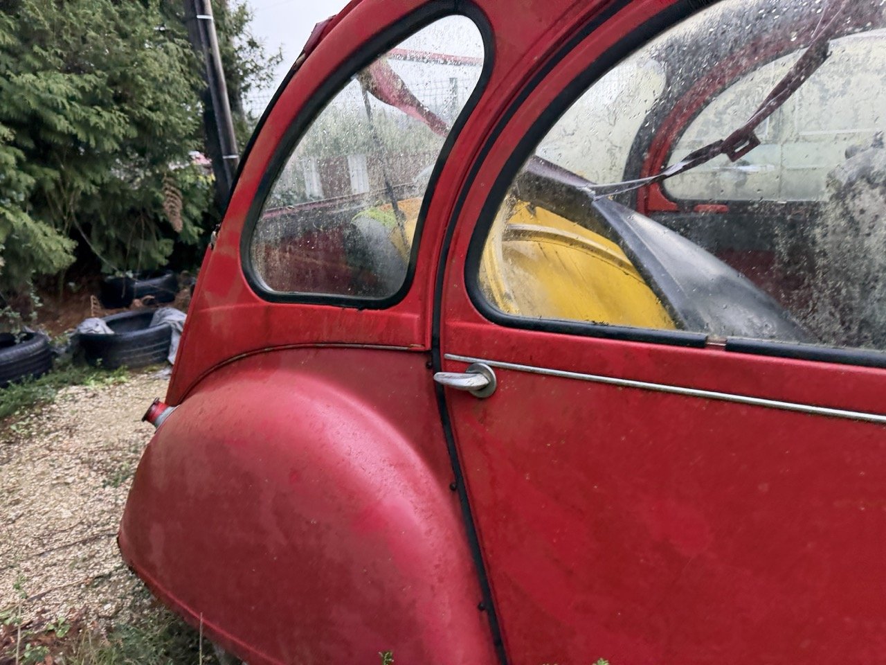 IMG_5503 – grande.jpeg