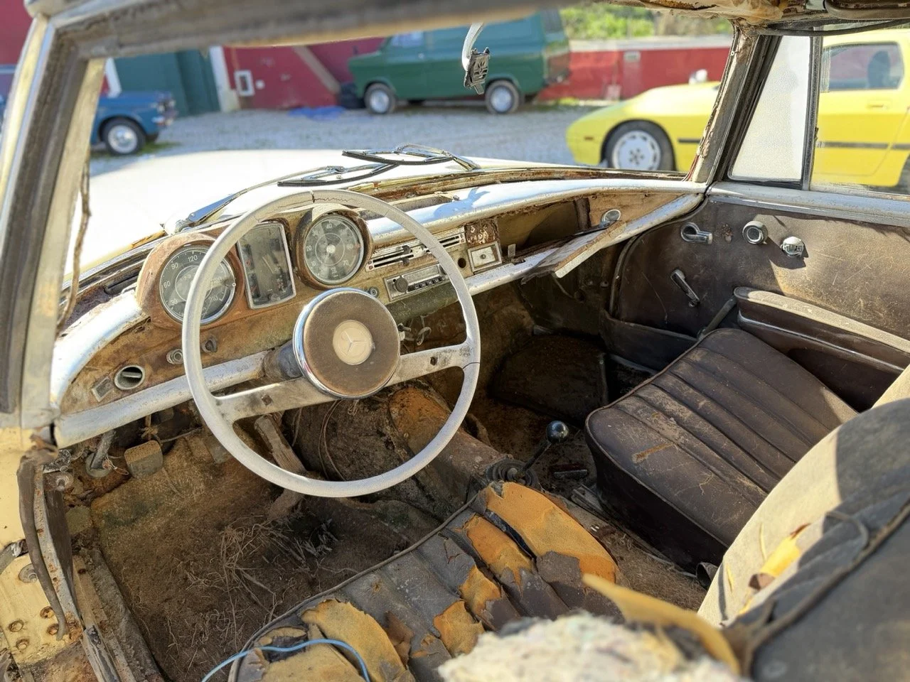 IMG_7015 – grande.jpeg