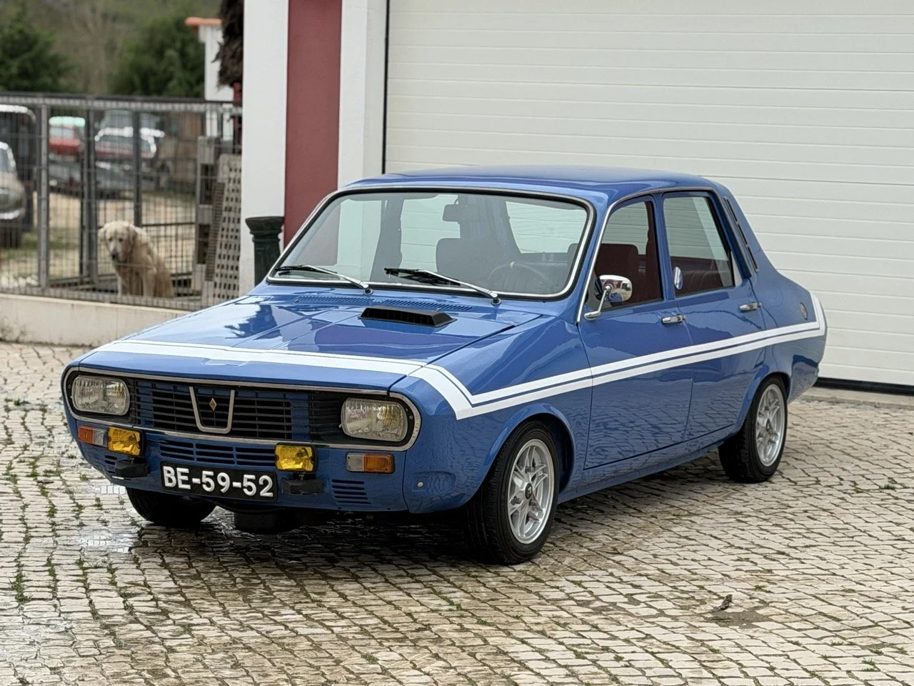 IMG_5906 – grande.jpeg