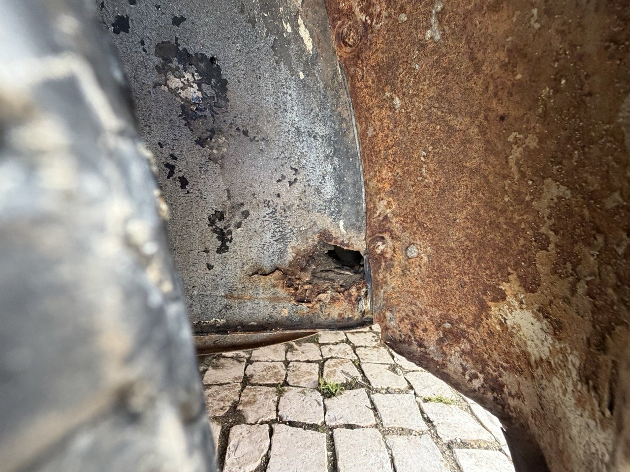 IMG_8682 – grande.jpeg