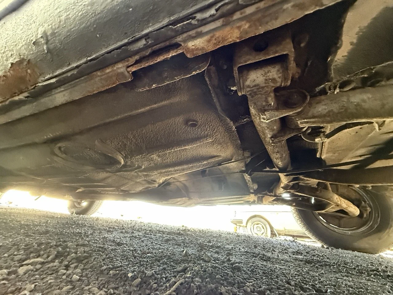 IMG_0621 – grande.jpeg