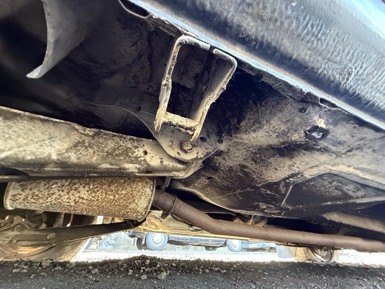 IMG_1231 – grande.jpeg