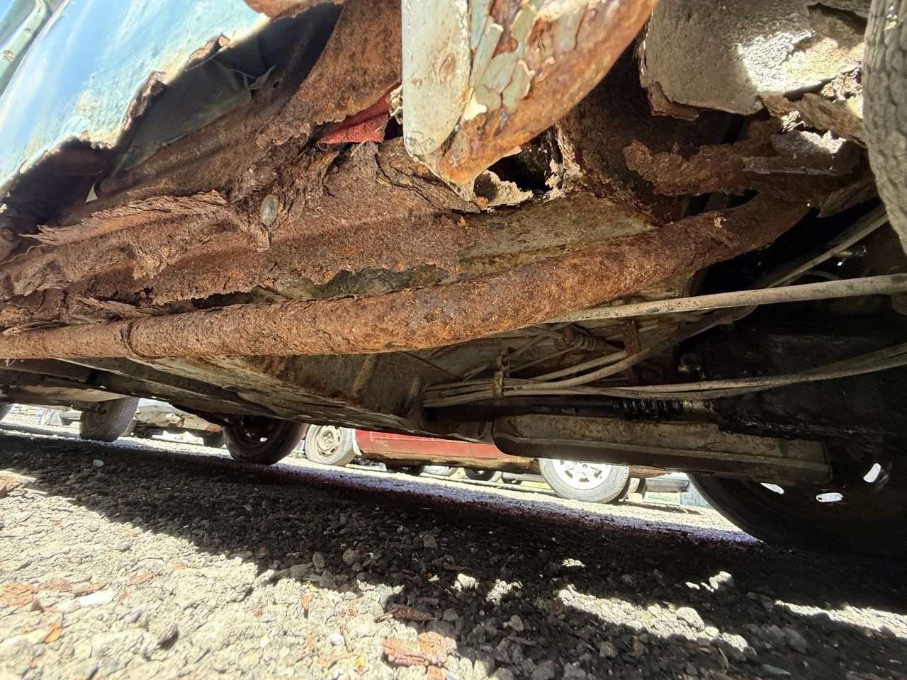 IMG_0888 – grande.jpeg