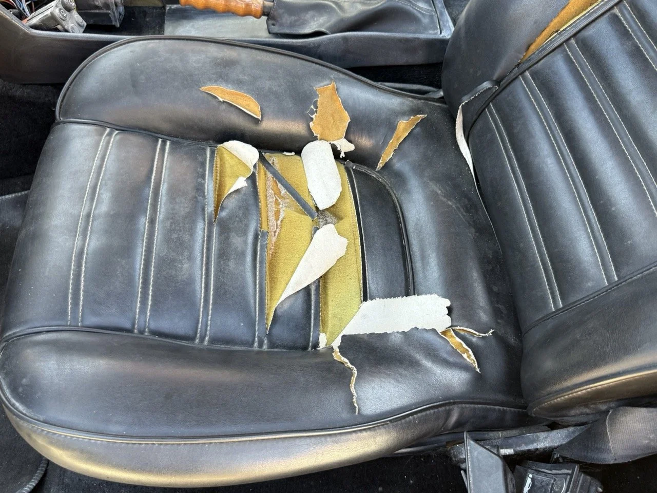 IMG_2185 – grande.jpeg