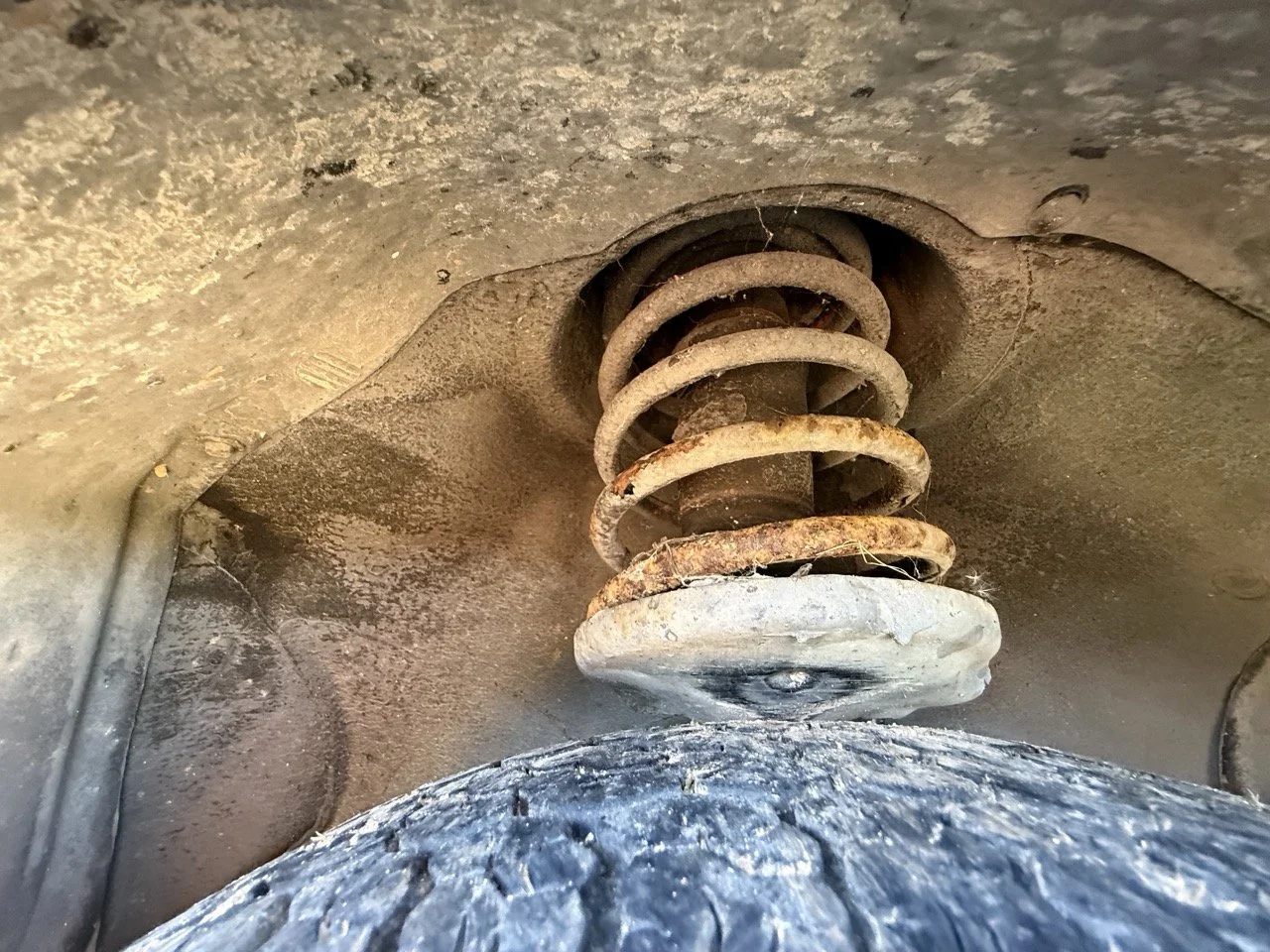 IMG_1239 – grande.jpeg