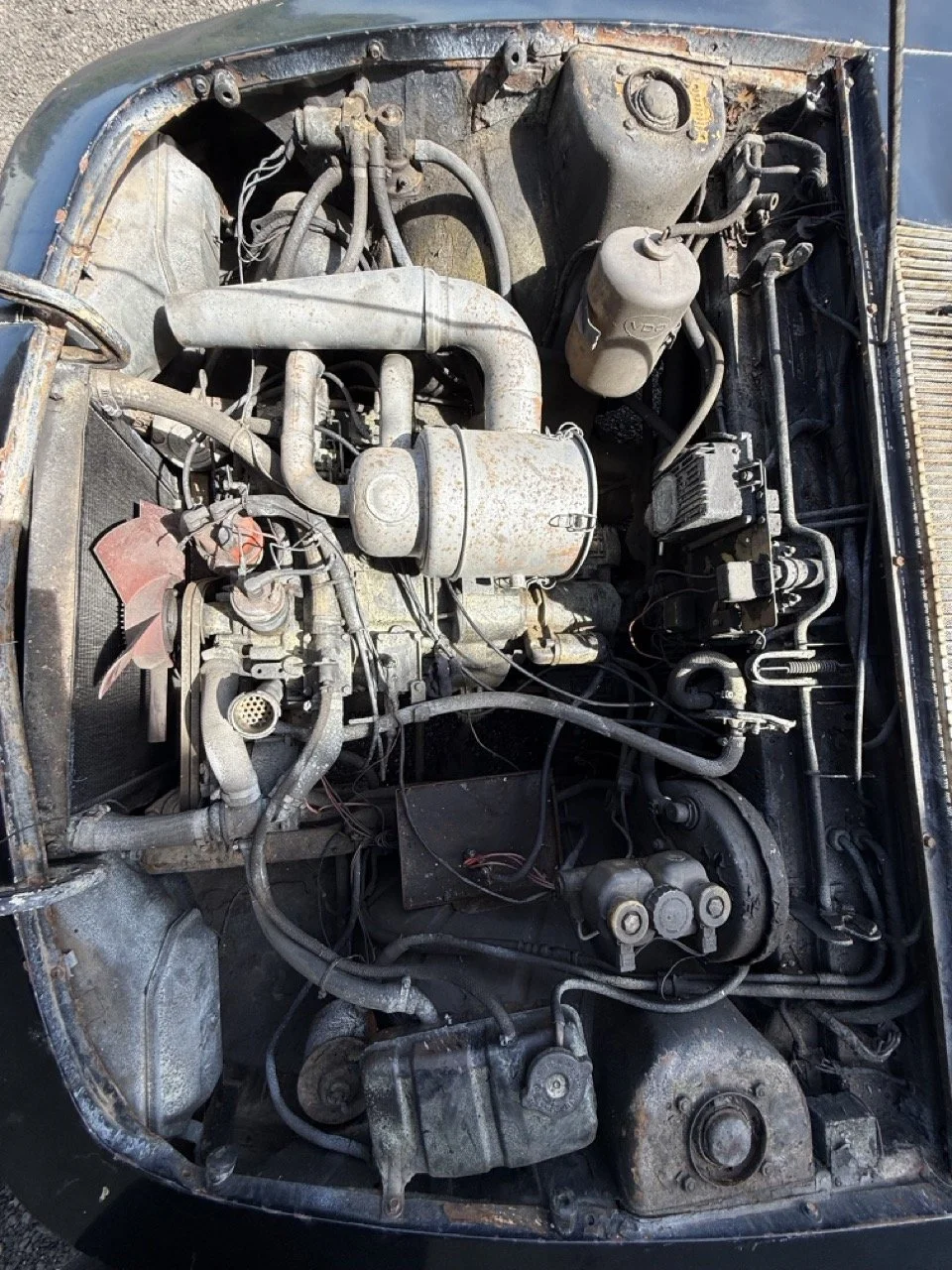 IMG_0612 – grande.jpeg