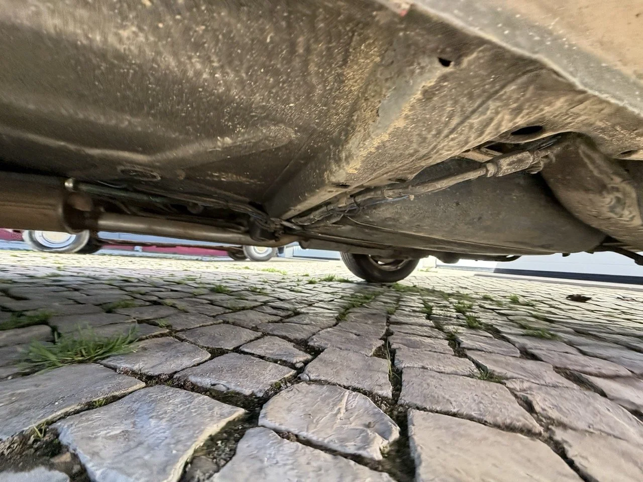 IMG_2055 – grande.jpeg