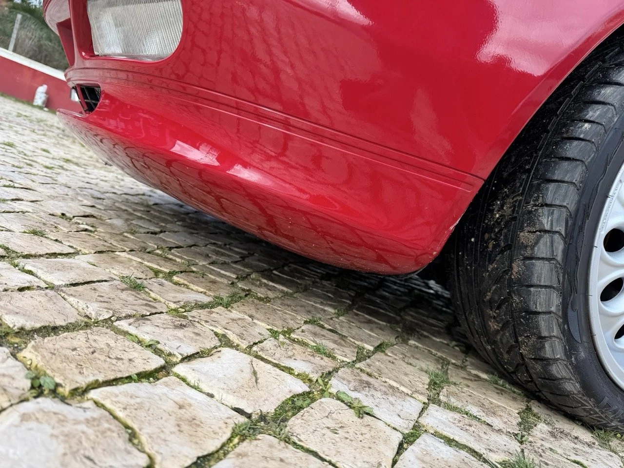 IMG_2296 – grande.jpeg