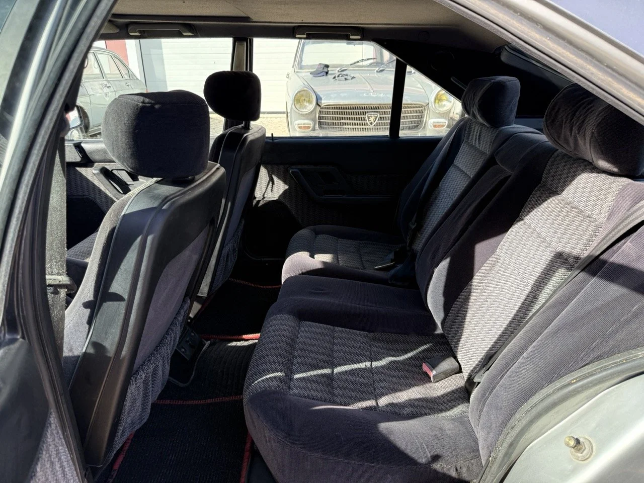 IMG_2536 – grande.jpeg