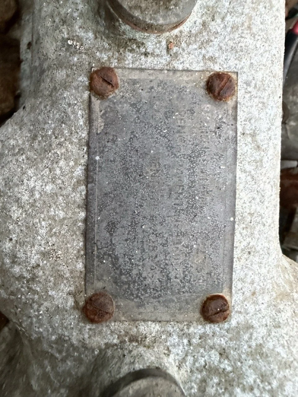 IMG_7449 – grande.jpeg