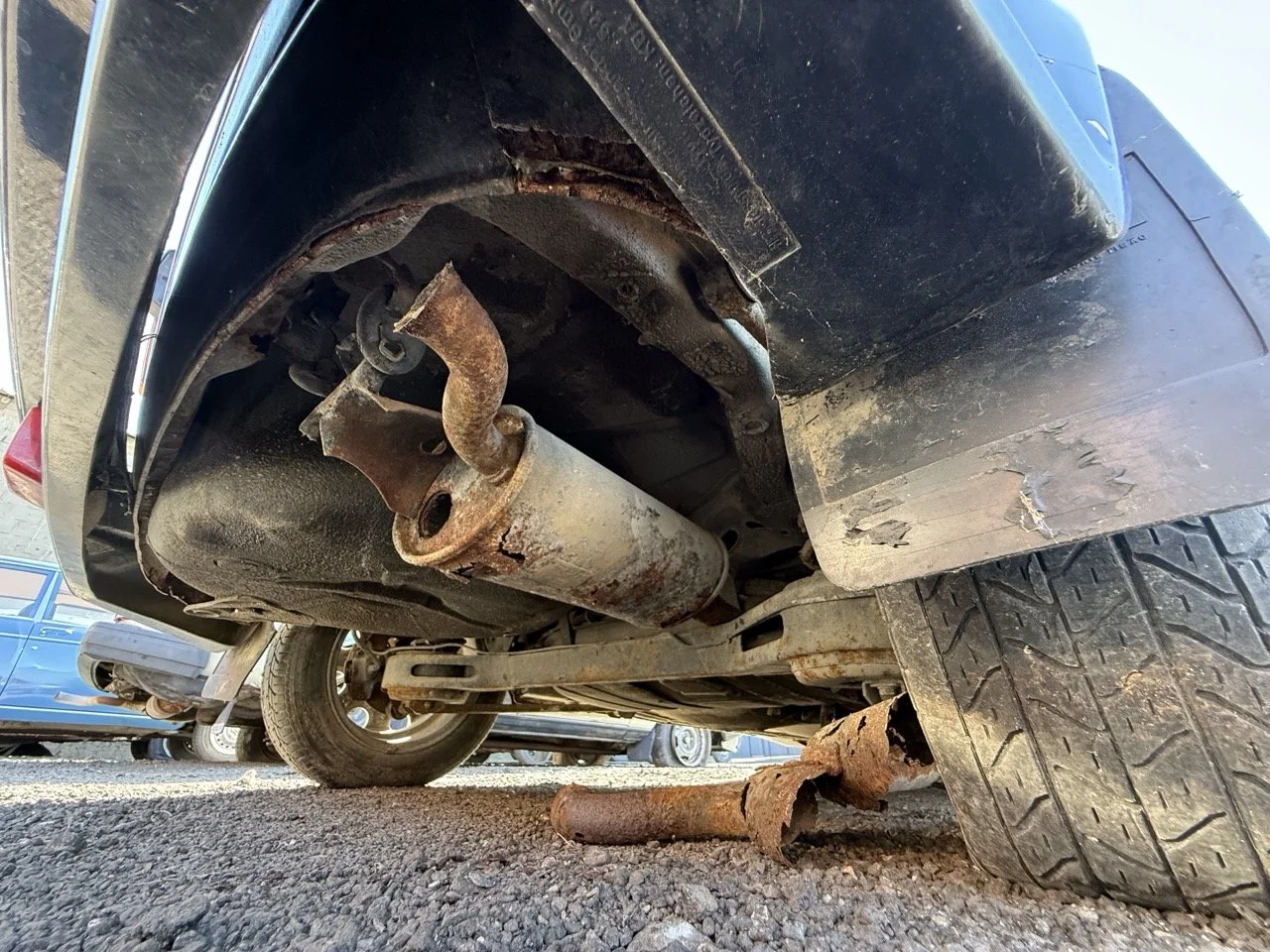 IMG_2954 – grande.jpeg