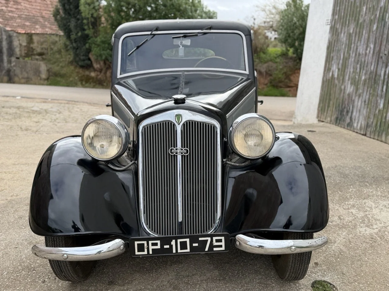 IMG_1405 – grande.jpeg