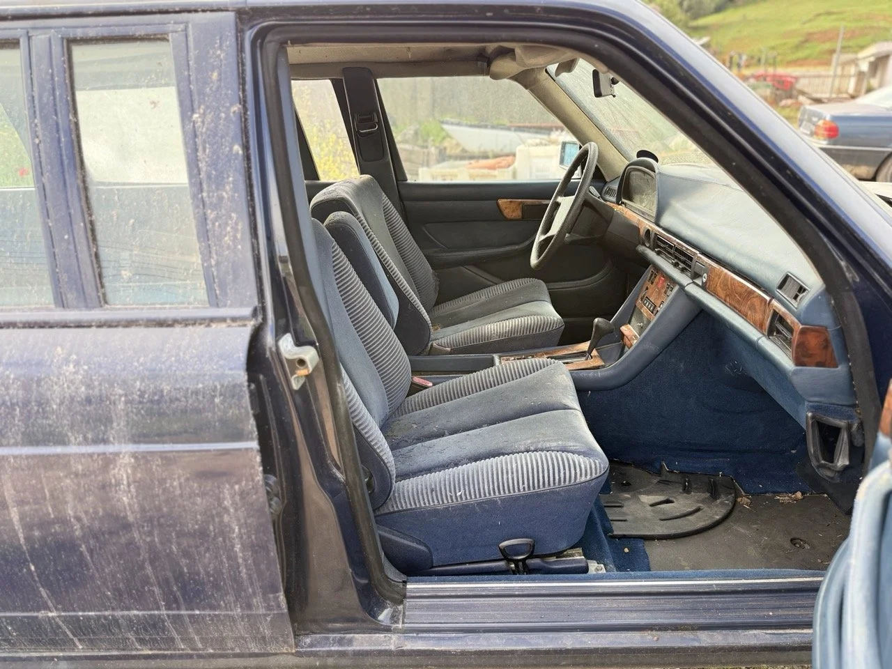 IMG_3378 – grande.jpeg