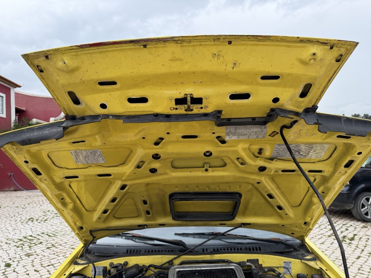 IMG_9751 – grande.jpeg