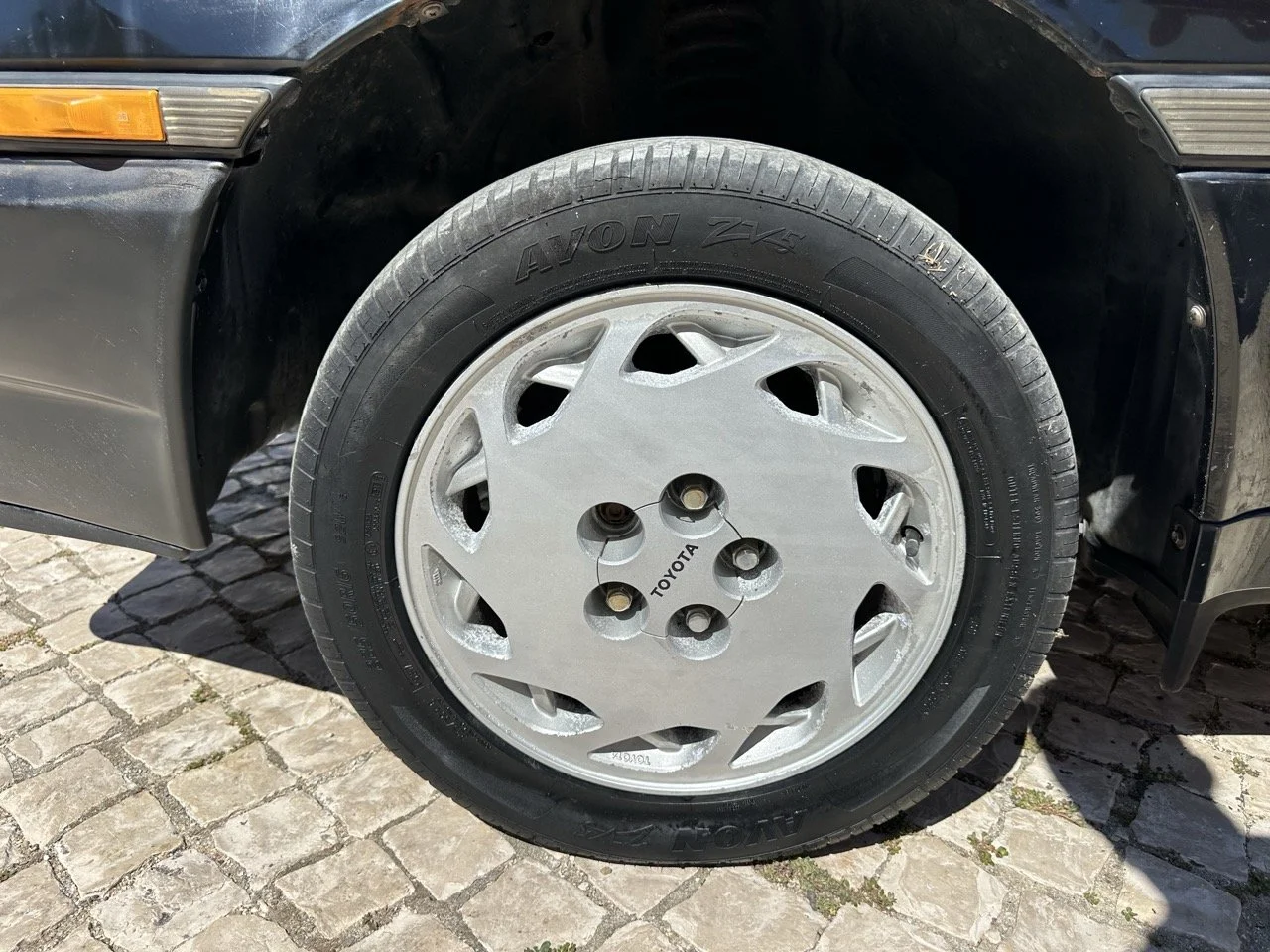 IMG_3114 – grande.jpeg