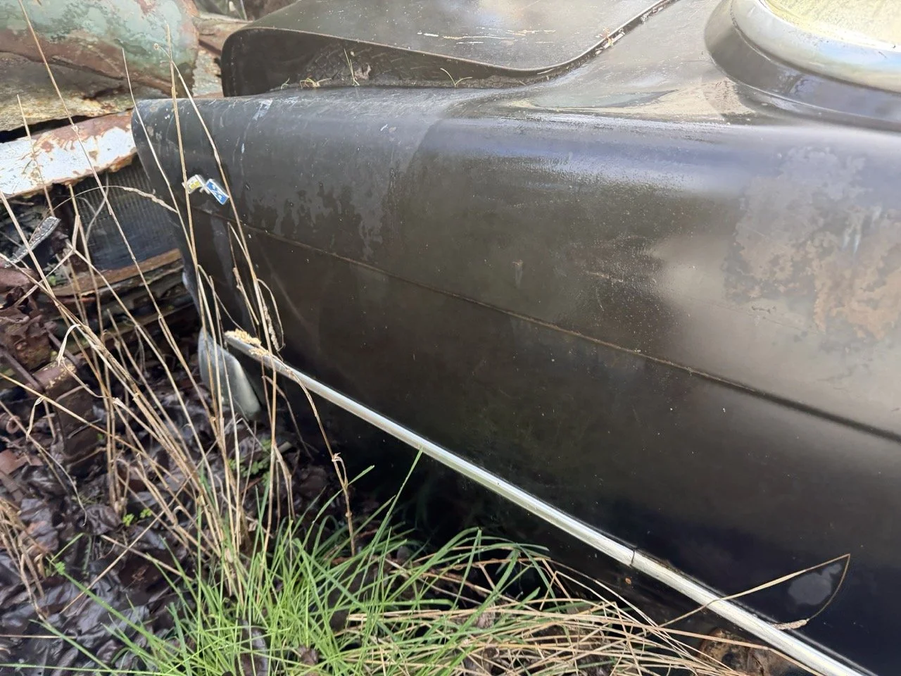 IMG_5044 – grande.jpeg