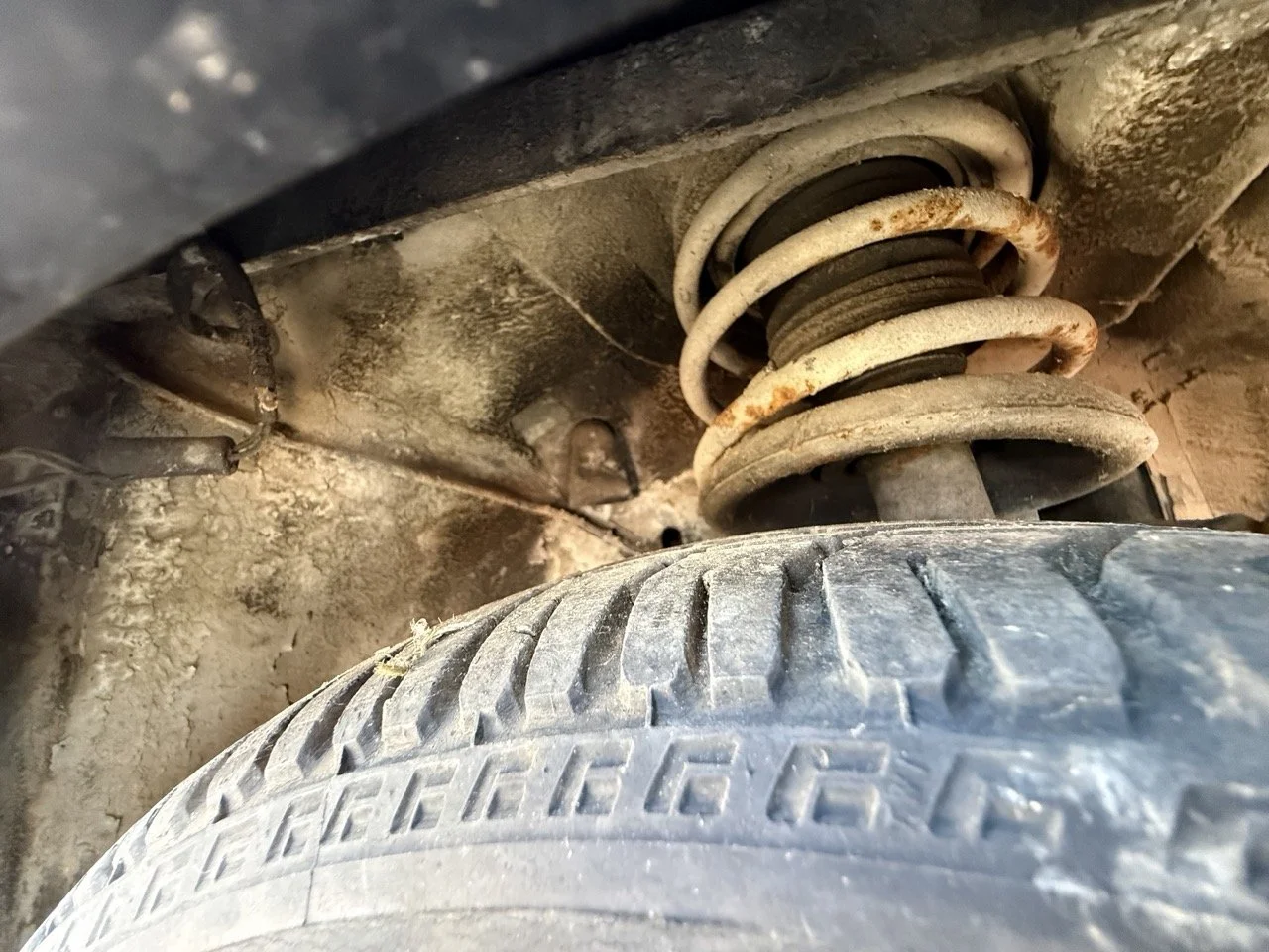 IMG_2963 – grande.jpeg