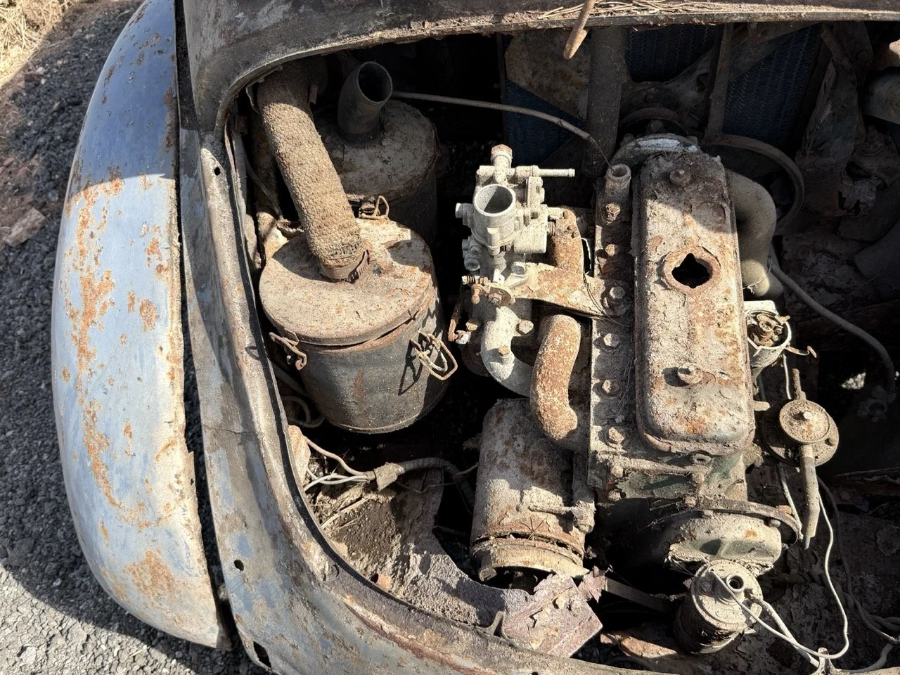 IMG_0311 – grande.jpeg