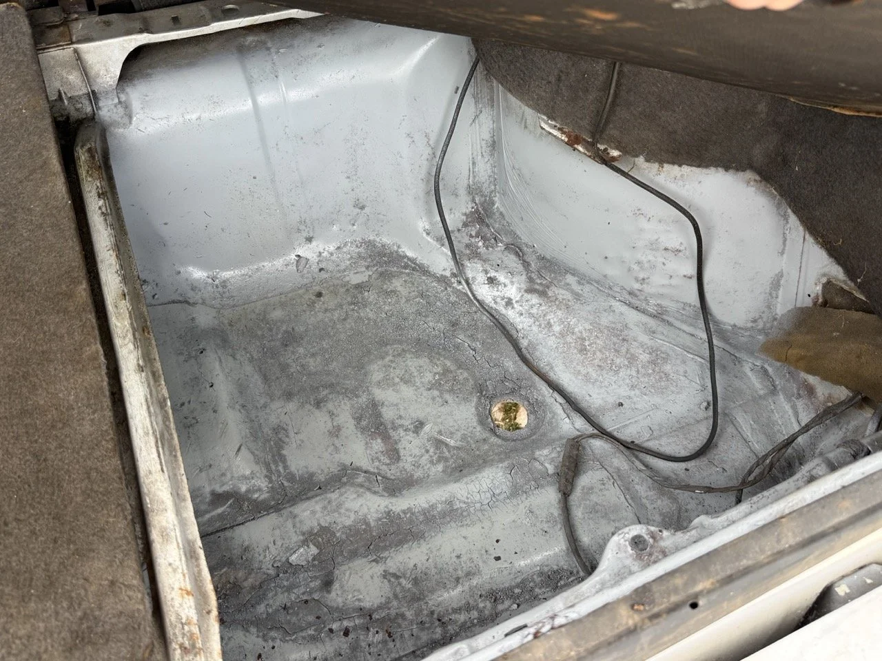 IMG_8583 – grande.jpeg