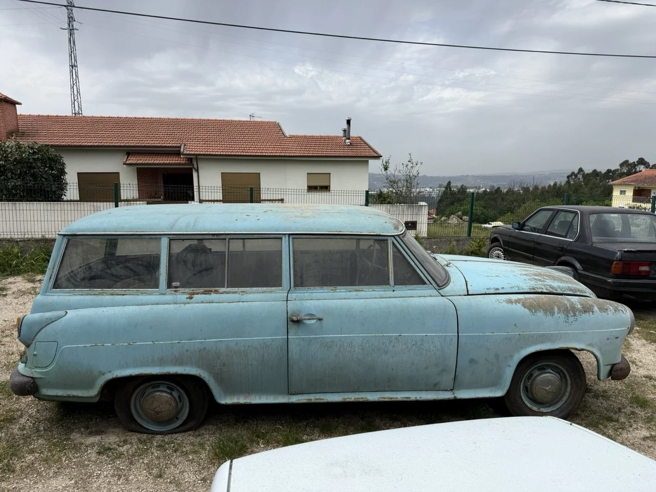 IMG_1353 – grande.jpeg