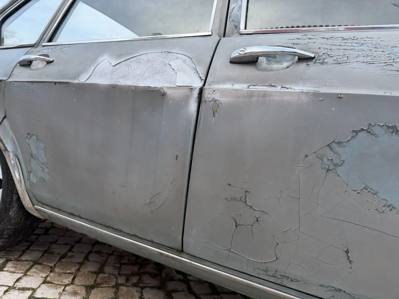 IMG_4853 – grande.jpeg