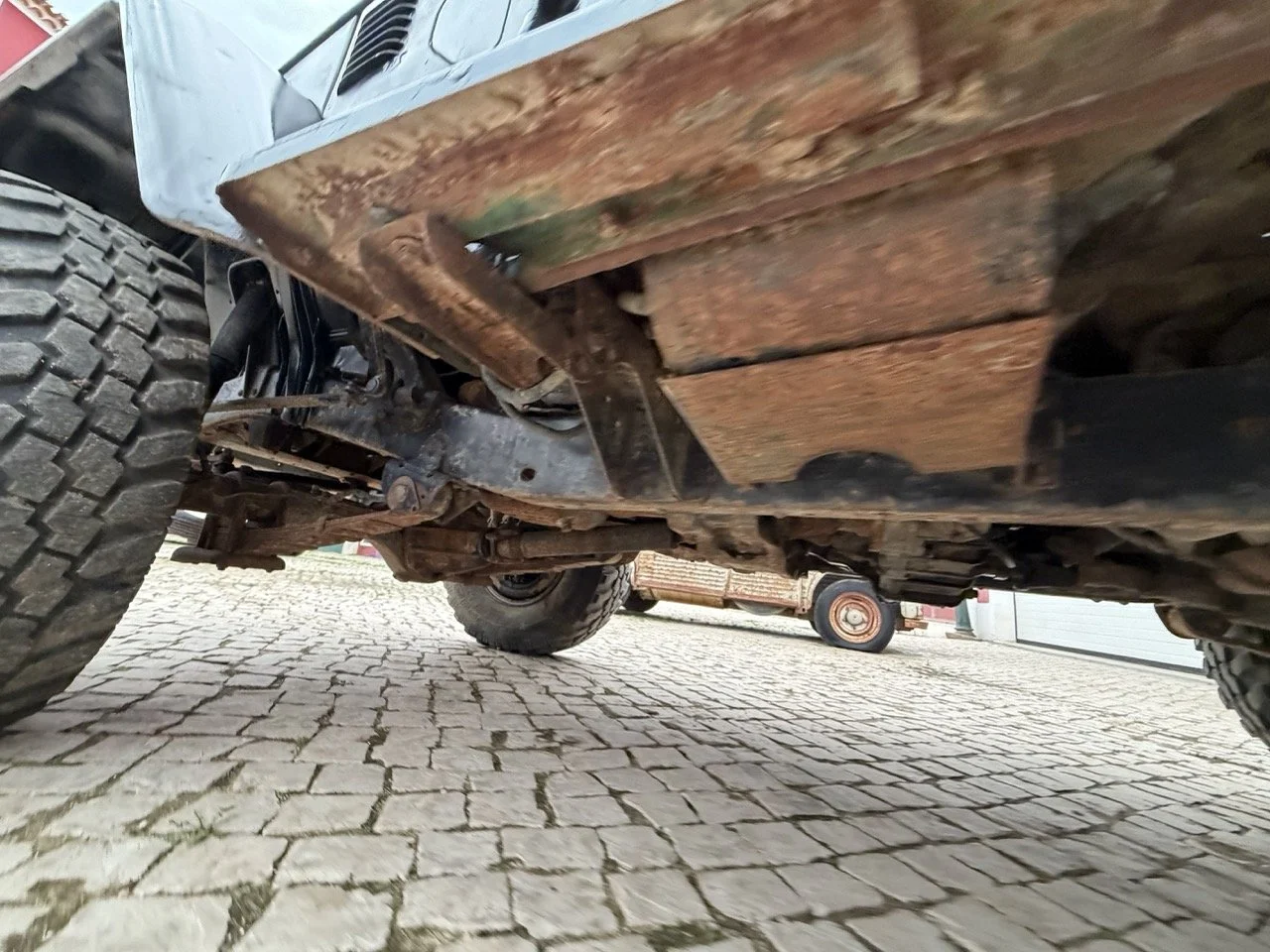 IMG_6535 – grande.jpeg