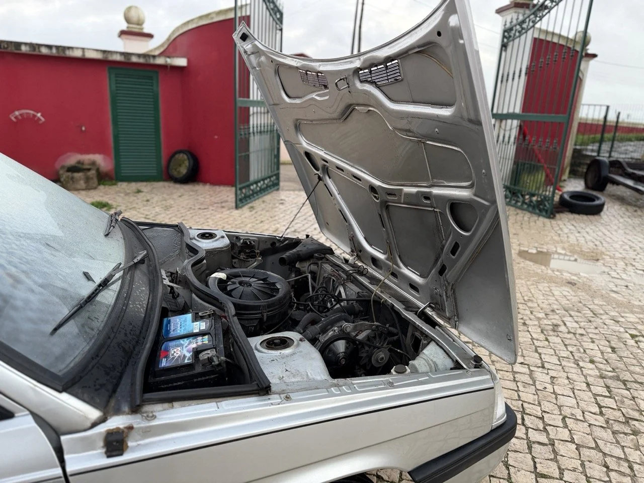 IMG_4744 3 – grande.jpeg