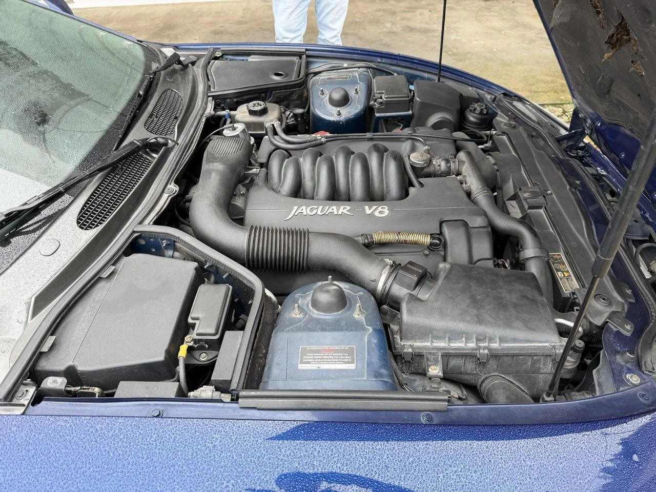 IMG_3640 – grande.jpeg