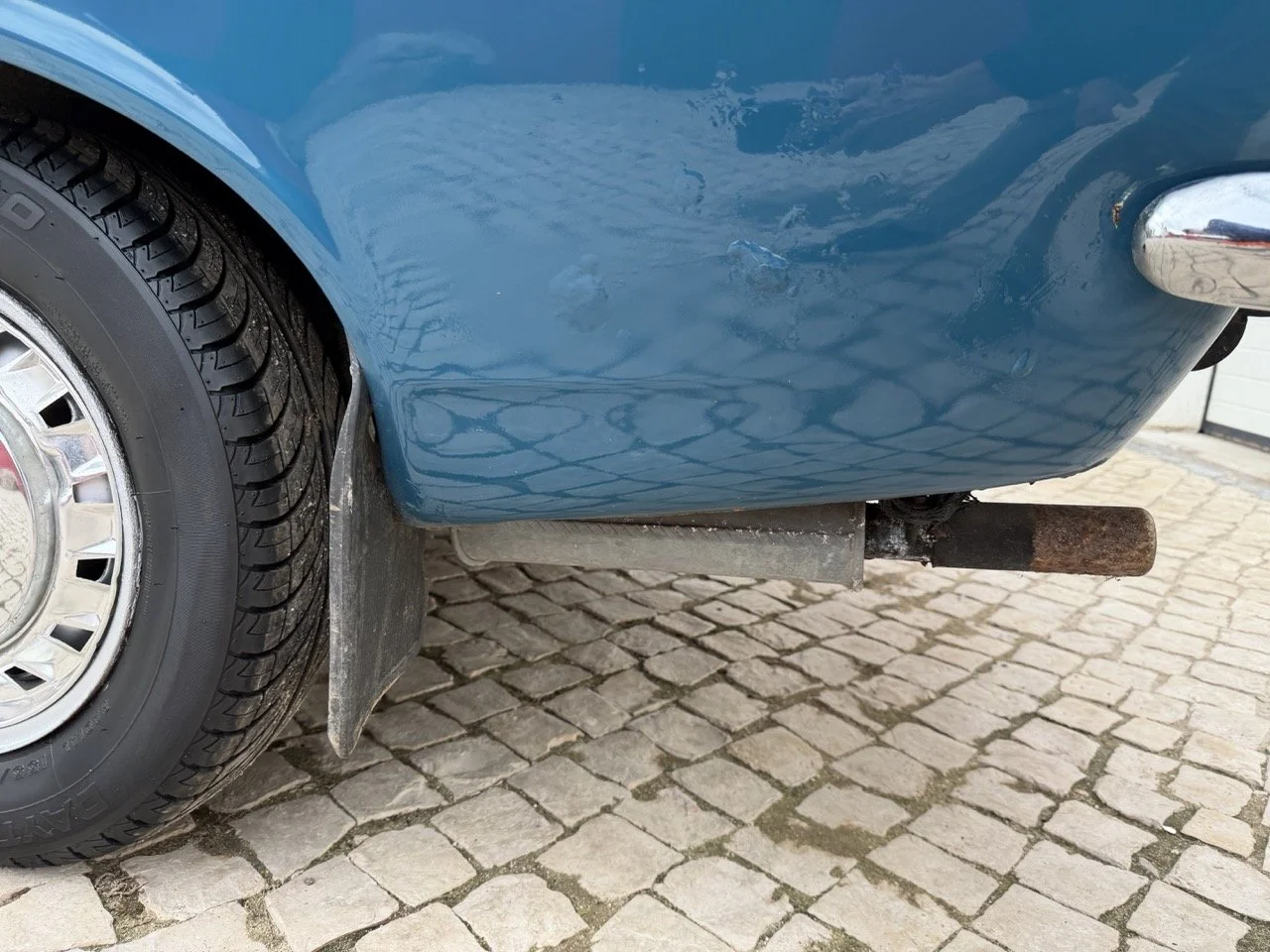 IMG_6341 – grande.jpeg