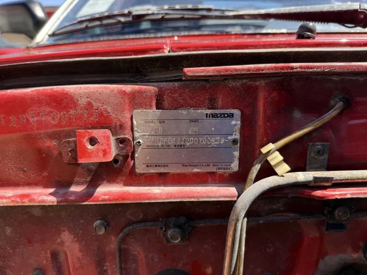 IMG_2045 – grande.jpeg