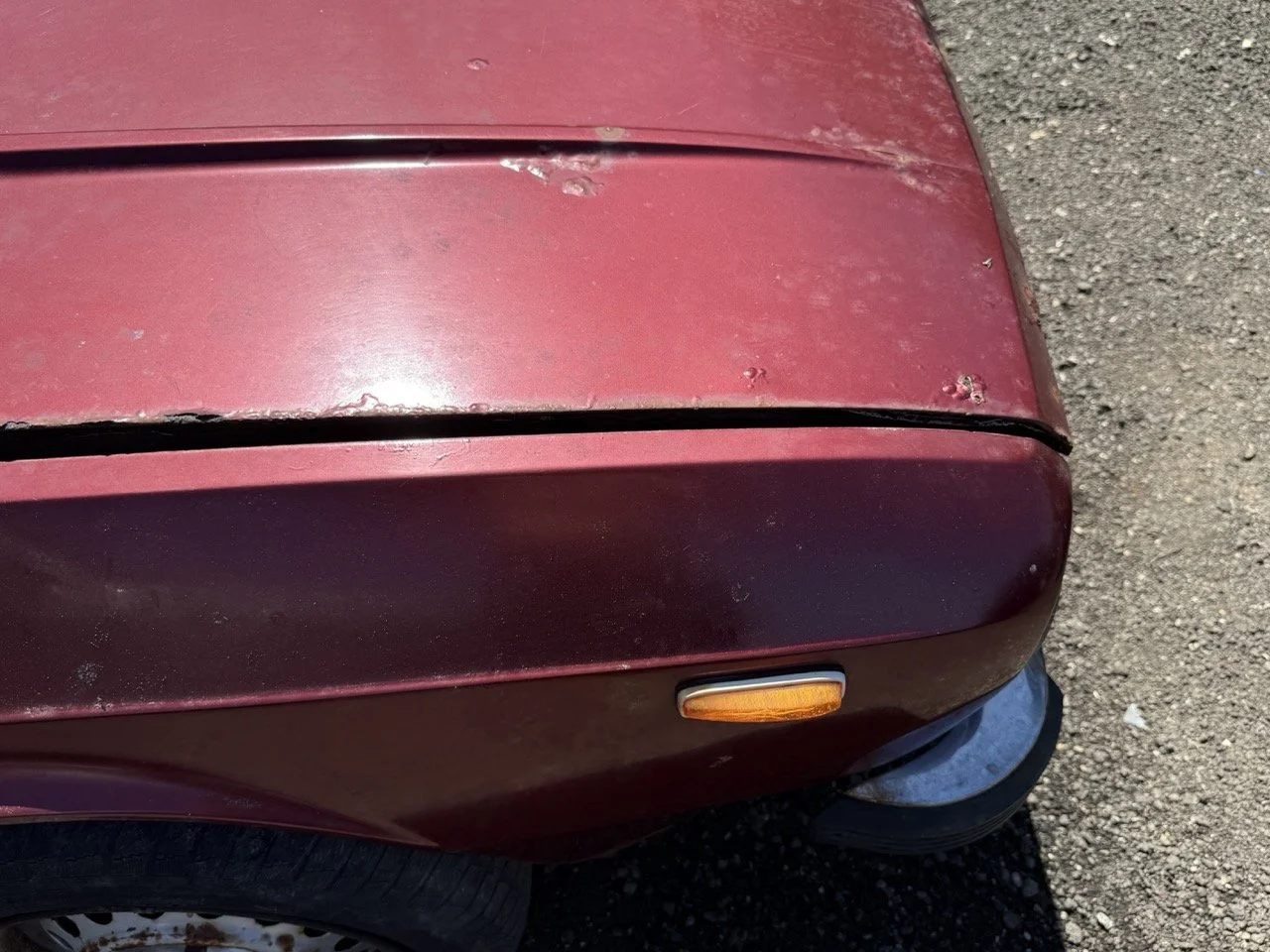 IMG_0954 – grande.jpeg