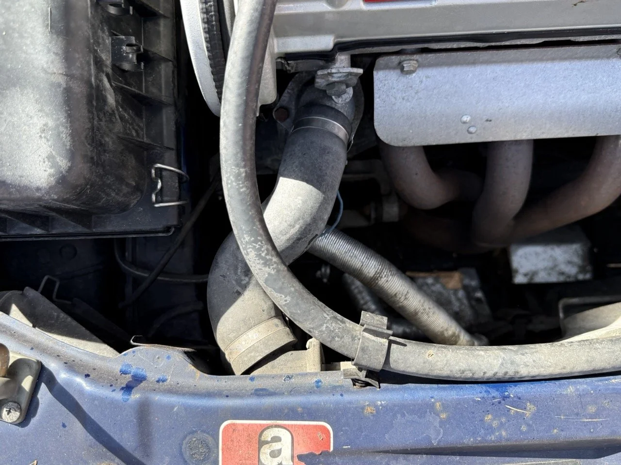 IMG_2421 – grande.jpeg