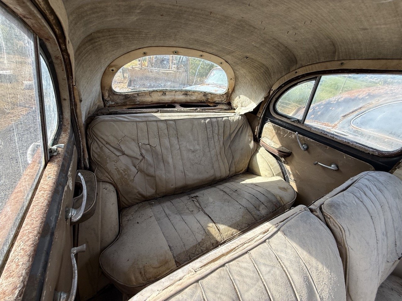 IMG_0461 – grande.jpeg