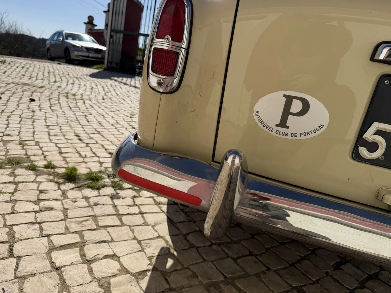 IMG_6728 – grande.jpeg