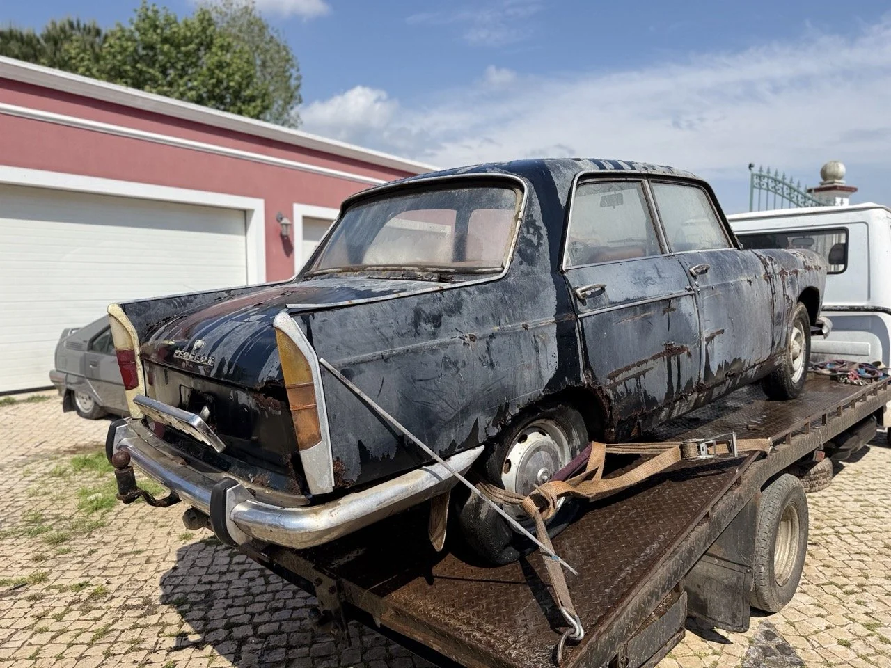 IMG_3458 – grande.jpeg