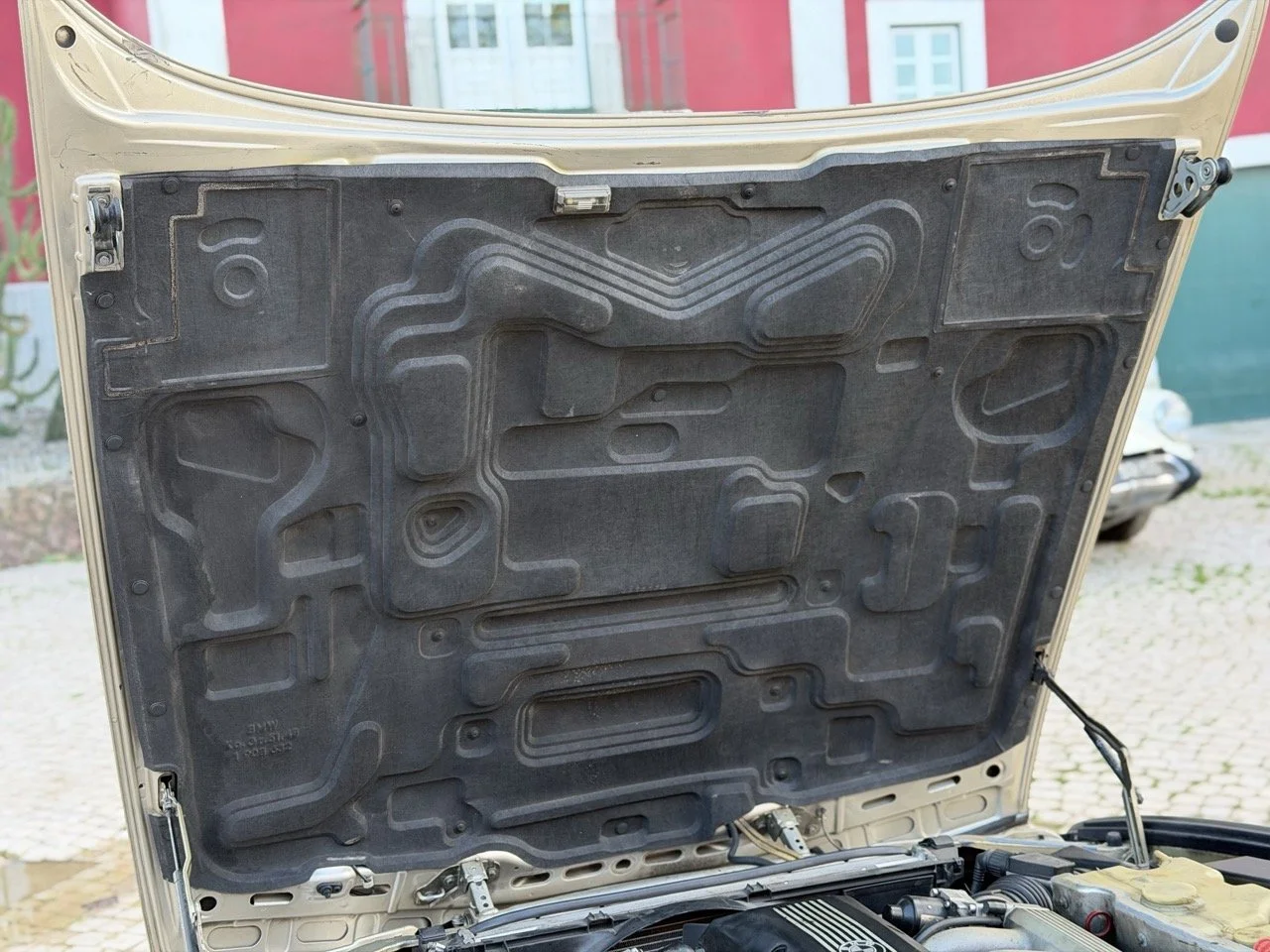 IMG_6971 2 – grande.jpeg