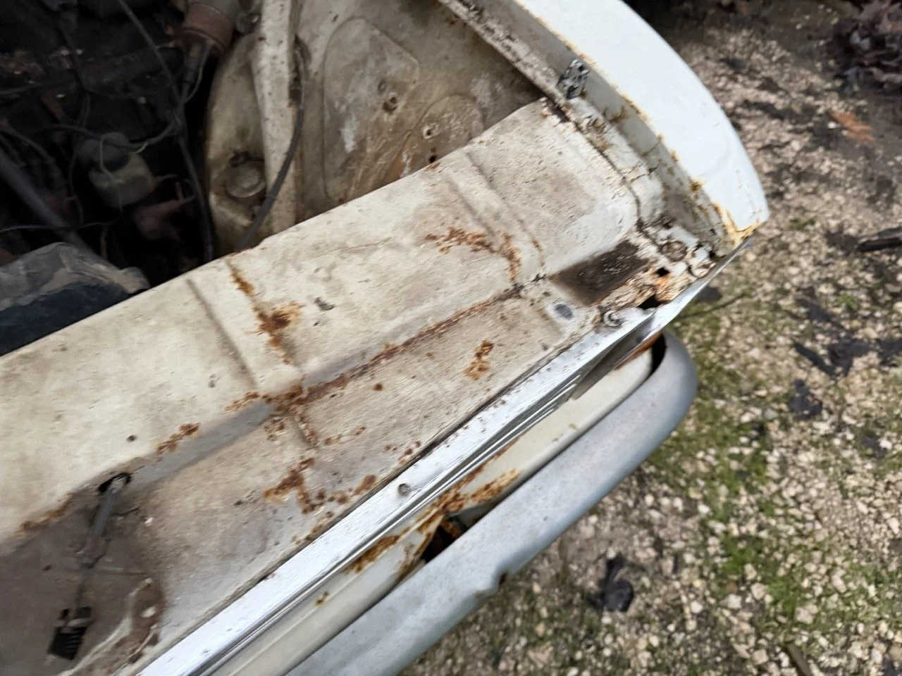 IMG_0156 – grande.jpeg