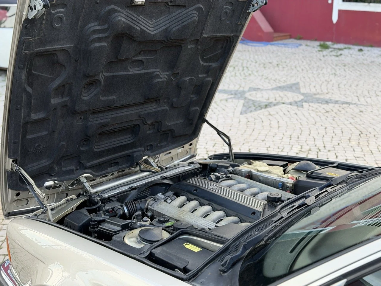 IMG_6969 2 – grande.jpeg