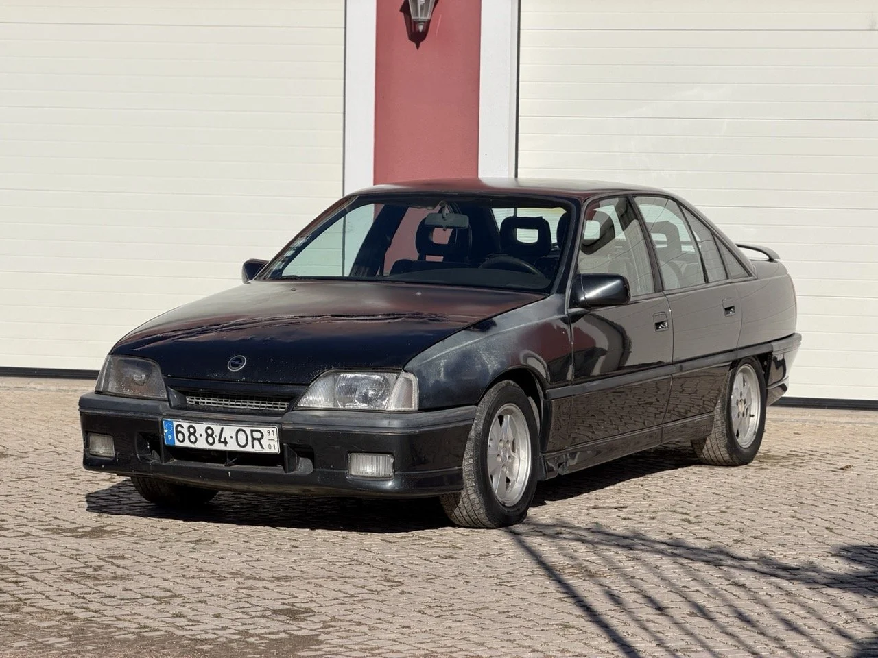 IMG_2695 – grande.jpeg