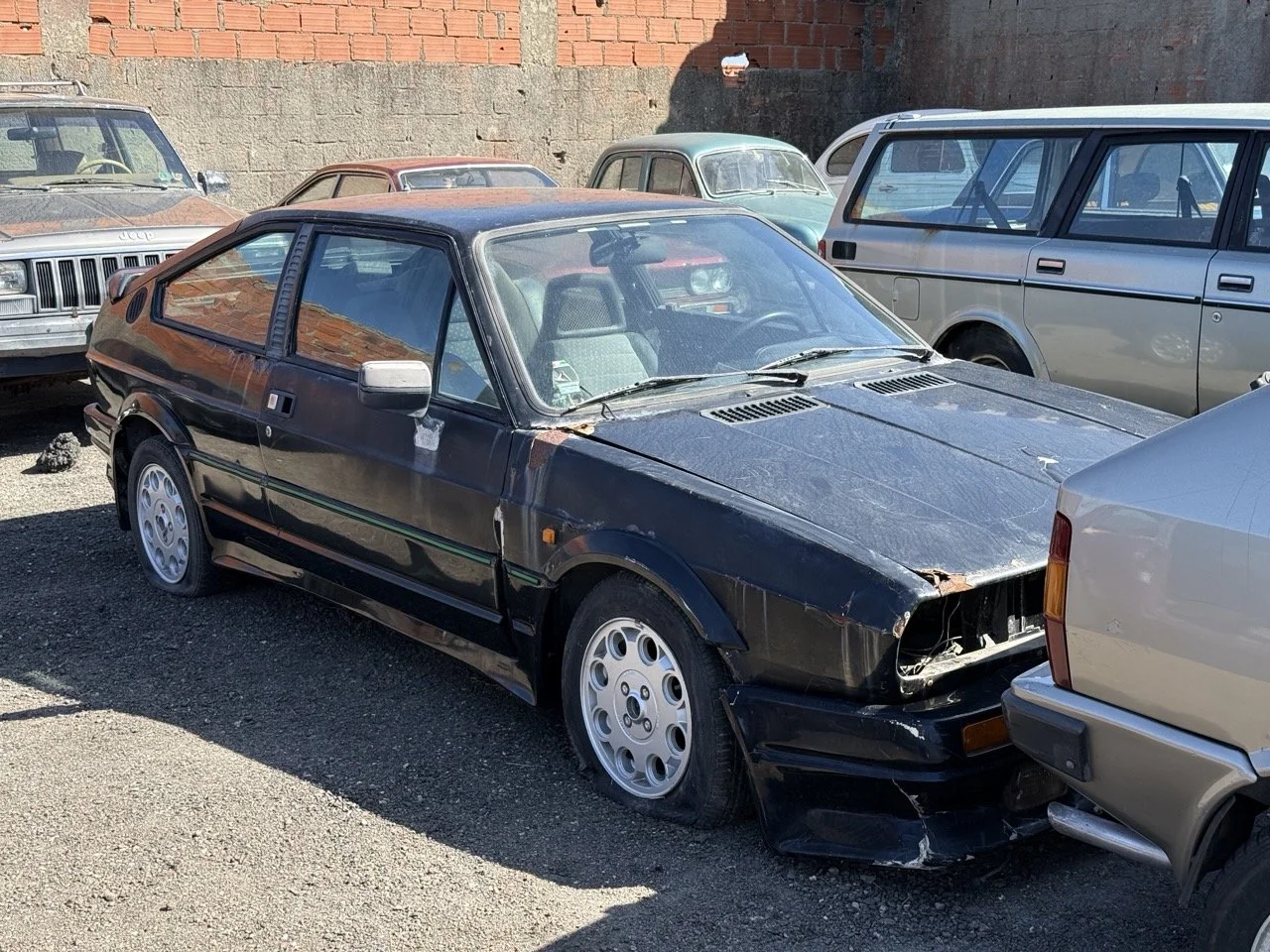 IMG_2894 – grande.jpeg