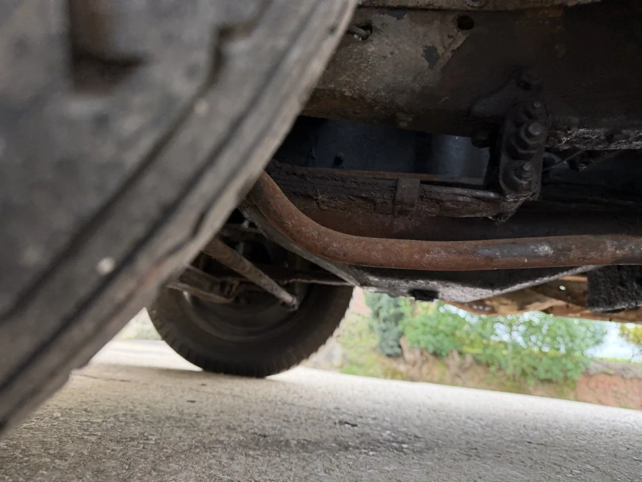 IMG_1662 – grande.jpeg