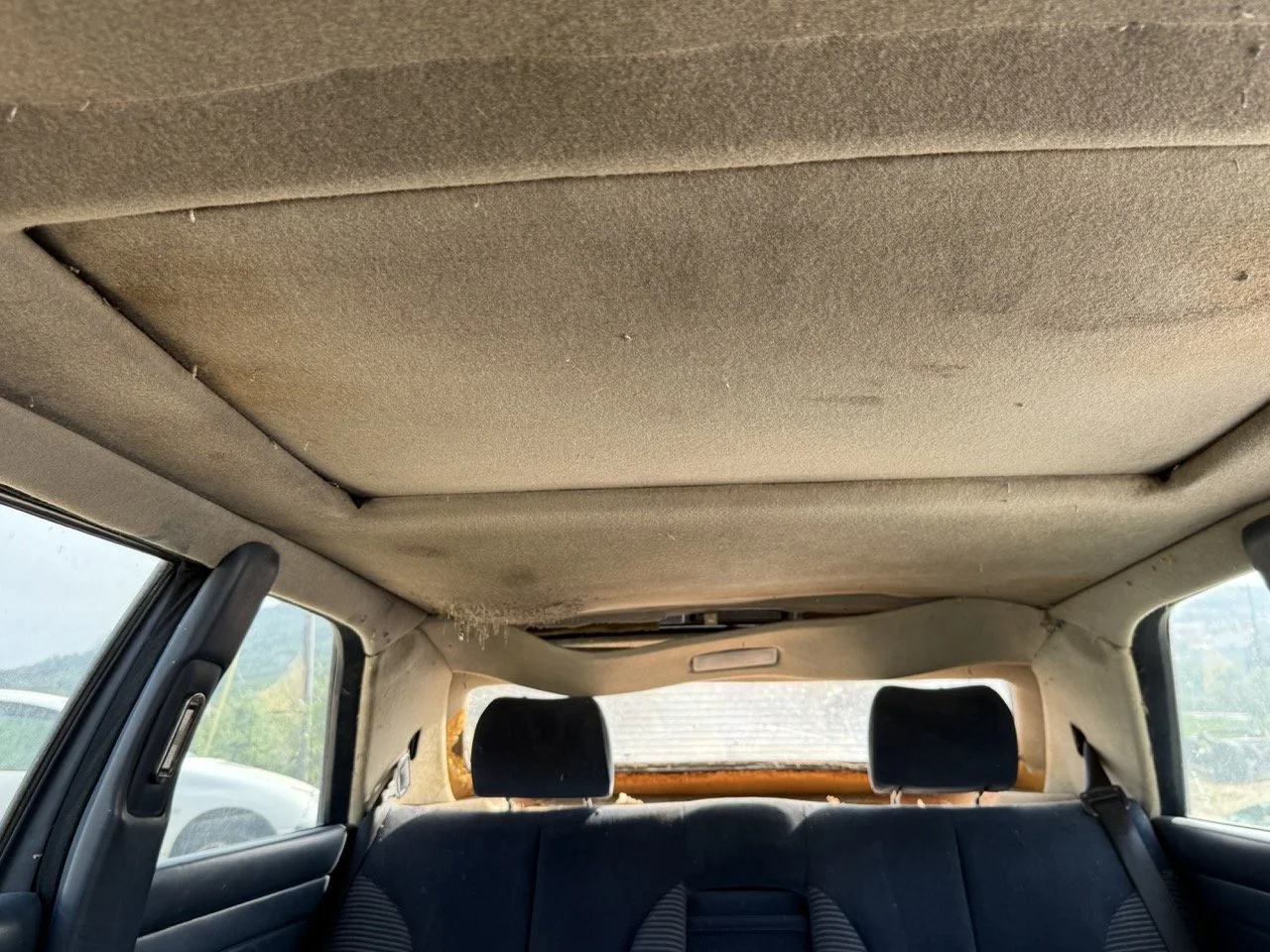 IMG_3430 – grande.jpeg