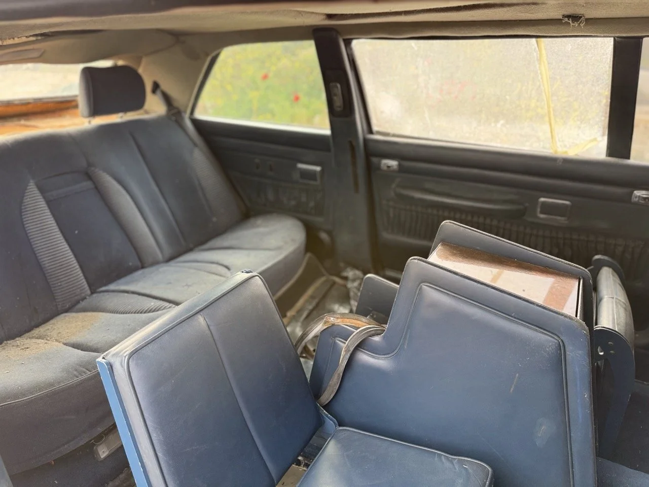 IMG_3371 – grande.jpeg