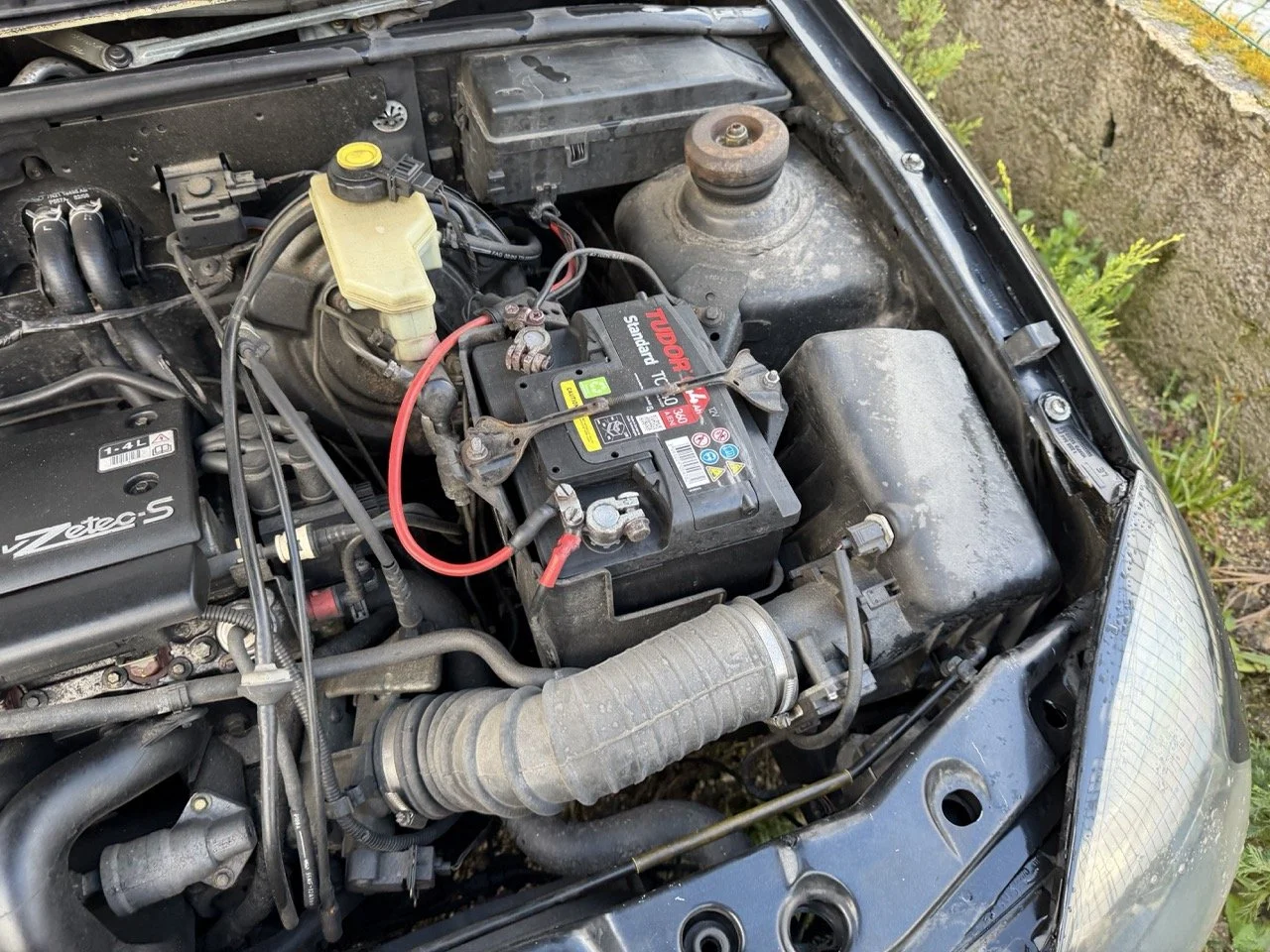 IMG_5312 – grande.jpeg