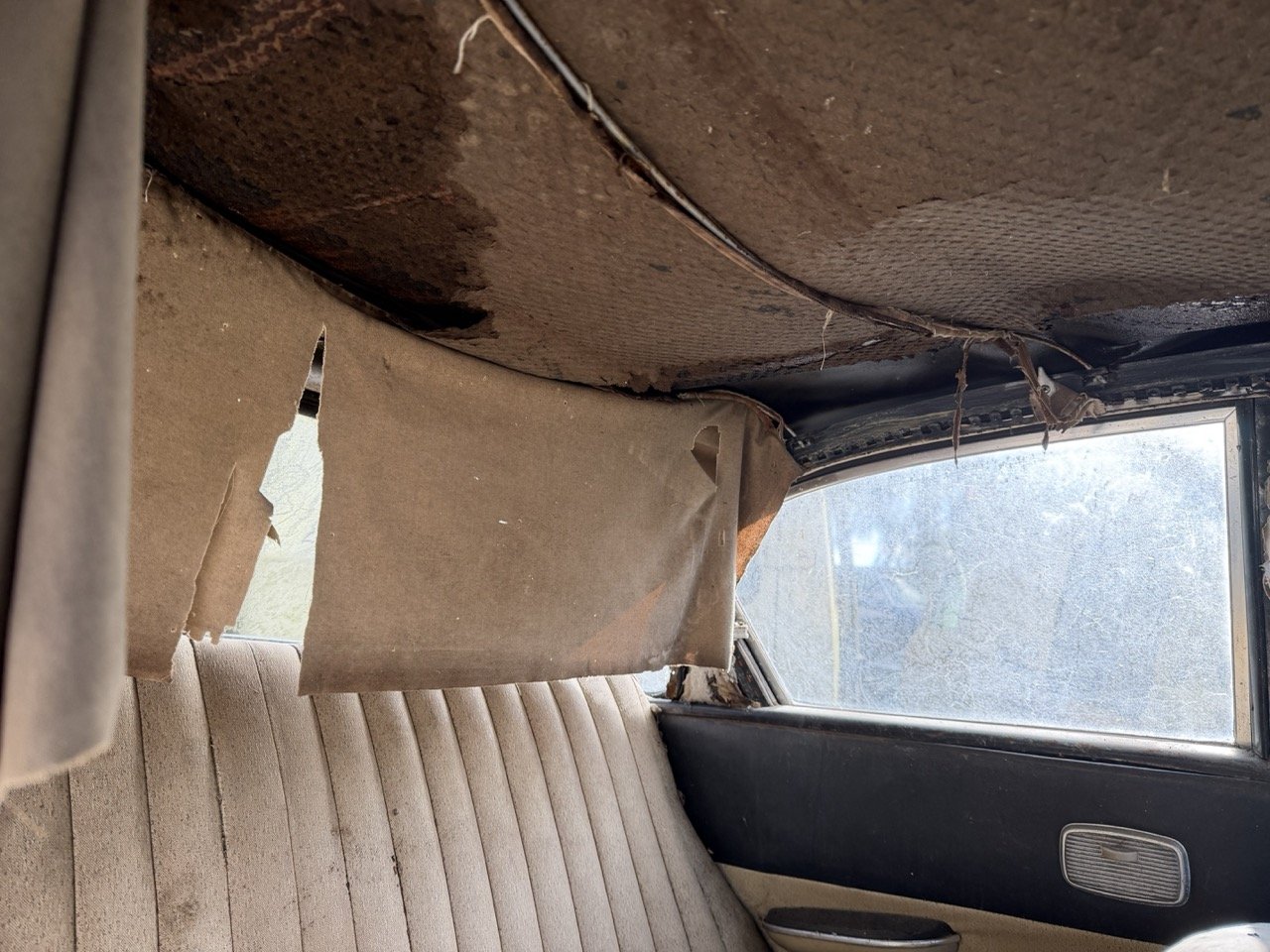 IMG_5063 – grande.jpeg