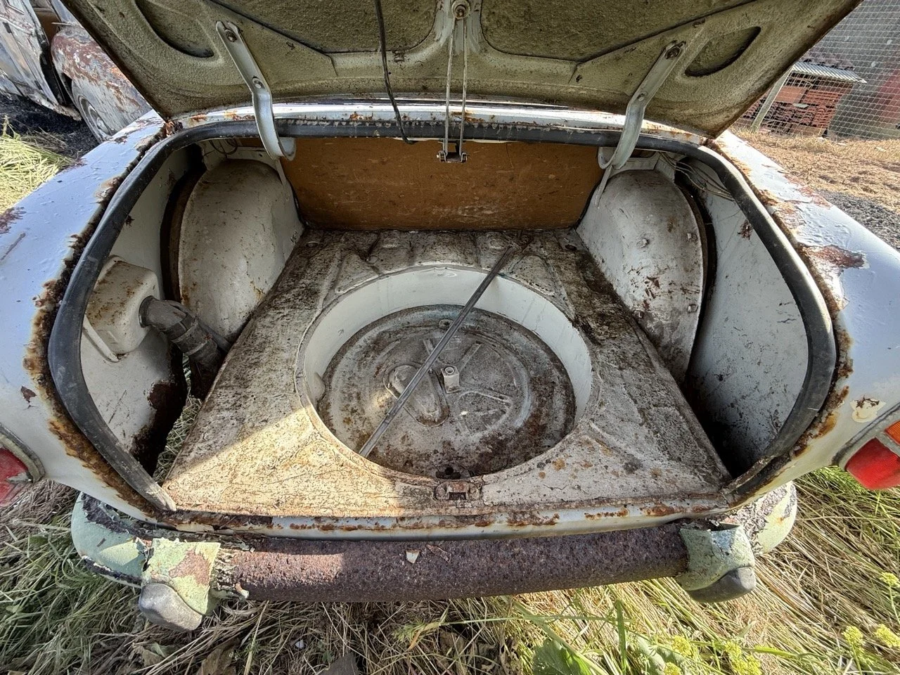 IMG_0503 – grande.jpeg