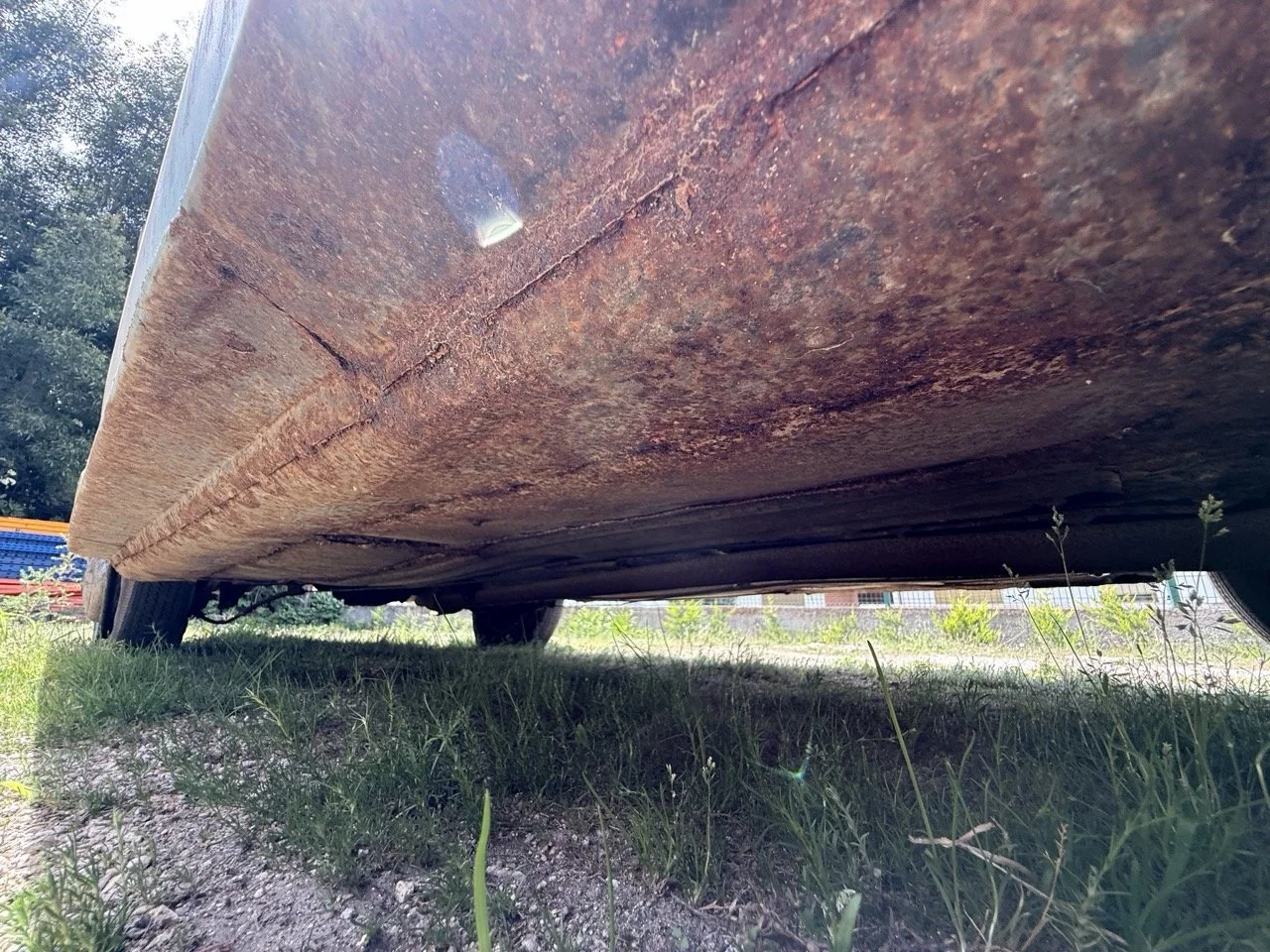 IMG_1415 – grande.jpeg